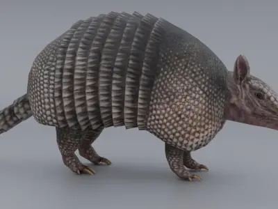 Armadillo Low-poly 3D model