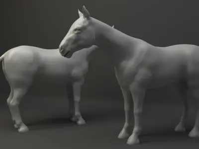 Horse Base Mesh 3D model