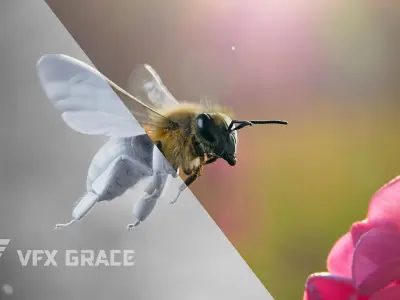 Honey bee Rig - MAYA 3D model