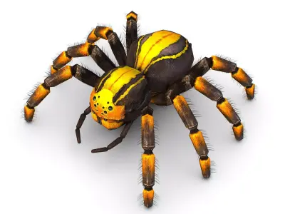 LowPoly Gigant Tarantula Spider Low-poly 3D model