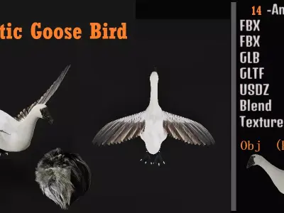 Domestic Goose Bird Low-poly 3D model