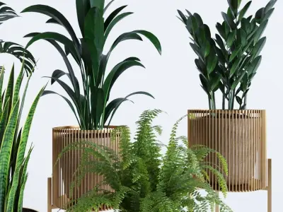 plant collection RPM 01 3D model