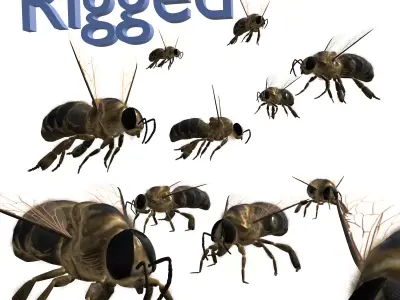 Animated bee Low-poly 3D model