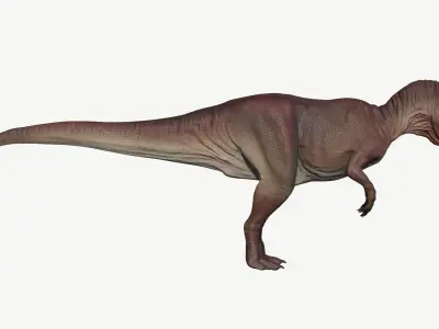 Allosaurus dinosaur Low-poly 3D model