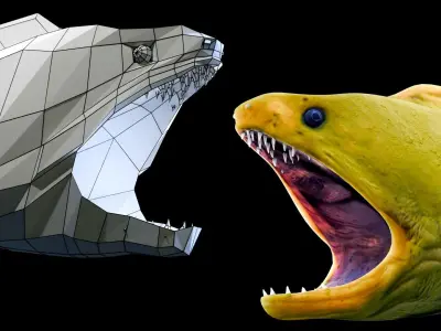 Animated Moray Eel Low-poly 3D model