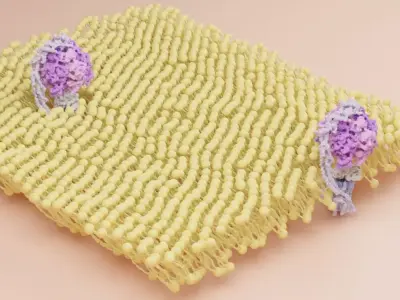 ATP synthase 3D model