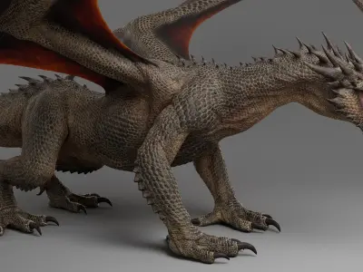 Dragon Adult No Rig 3D model