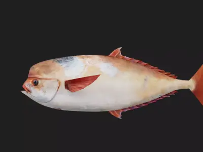 Louvar Low-poly 3D model