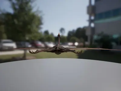 Quetzalcoatlus dinosaur flying in air Low-poly 3D model