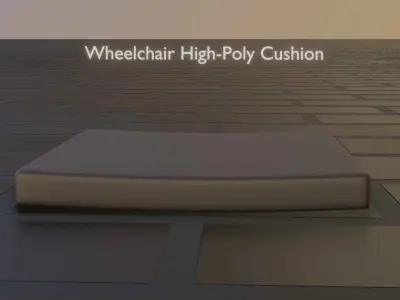 Wheelchair Cushion 3D model