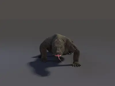Komodo Dragon Low-poly 3D model