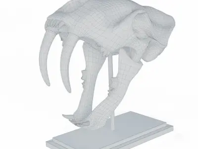 Saber tooth tiger skull Low-poly 3D model