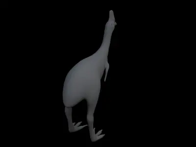 Cassowary Base Mesh 3D model