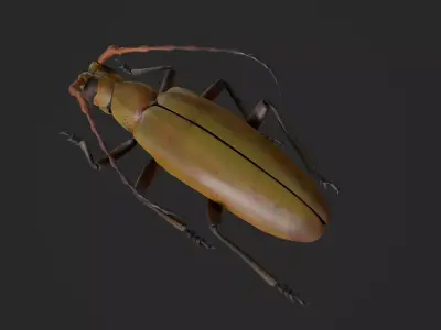 Longhorn Beetle Mantitheus Pekinensis Low-poly 3D model