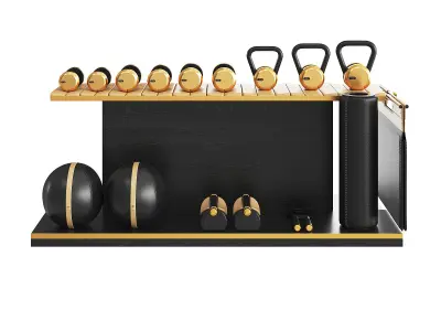 PENT luxury fitness equipment part 2 Black 3D model