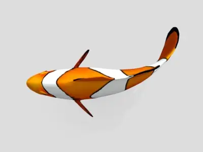 Clownfish Realistic Animated Low-poly 3D model