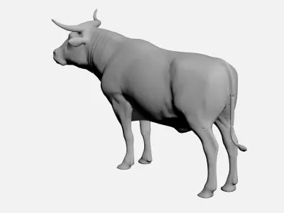 Ox-wild animals 3D model