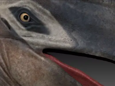 Dinosaur Quetzalcoatlus Giant Pterosaurs Sculpt Project 3D model