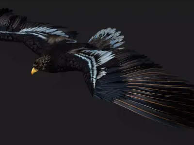Eagle A3 Free low-poly 3D model