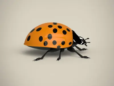 Ladybug Low-poly 3D model