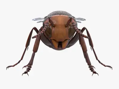 4K Honey Bee Low-poly 3D model