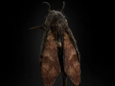 Mothman Low-poly 3D model