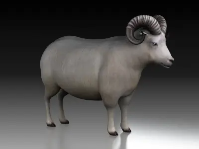 sheep ram ewe lamp wool fur farm livestock domesticated  3D model