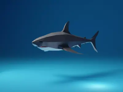 Low Poly Shark Low-poly 3D model