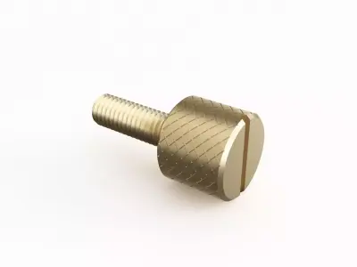Screw 79 3D model