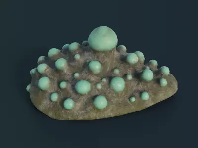Fantasy Spider Eggs Low-poly 3D model