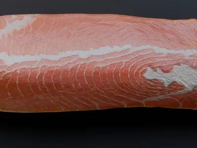 Salmon Steak 3D model
