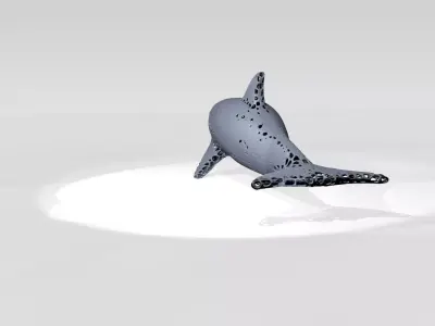 Dolphin Voronoi 3D model