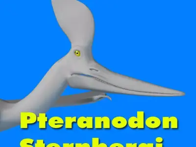 Pteranodon Sternbergi D 3D model