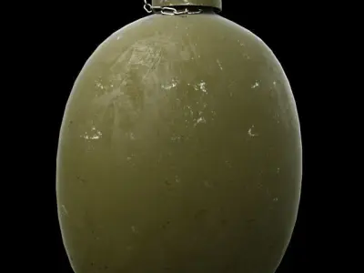 Military water flask Free 3D model