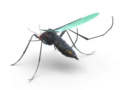High Poly Big Realistic Mosquito Low-poly 3D model