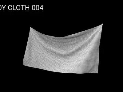 Animated Cloth Simulation Pack Free low-poly 3D model
