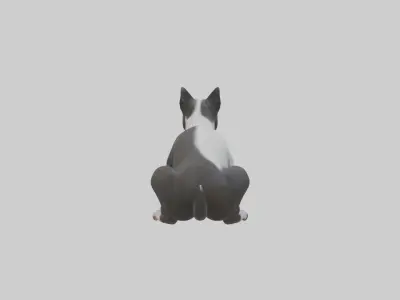 Sitting Staffordshire Bull Terrier model Low-poly 3D model