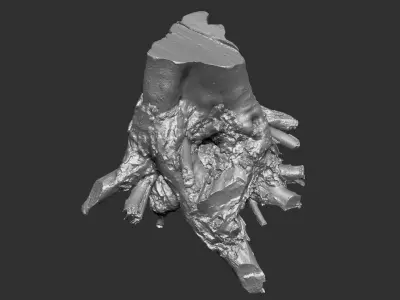 3d scan of tree root in highpoly 3D model