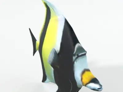 Moro Idol Low-poly 3D model