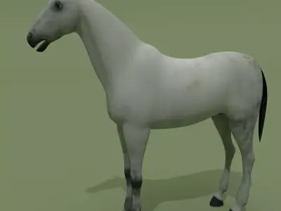 Horse Grey Free 3D model