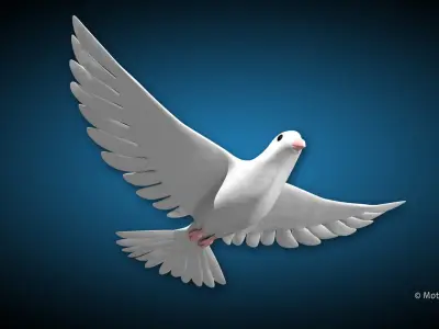 White Dove Bird 3D model