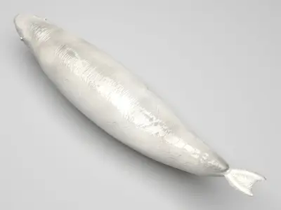 Beluga Whale 3D model