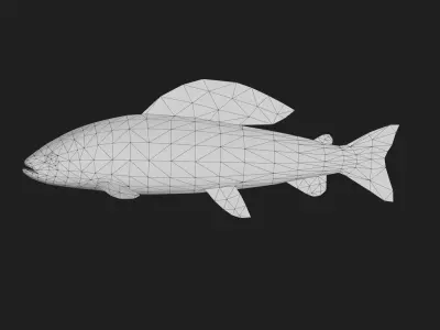 Grayling Low-poly 3D model
