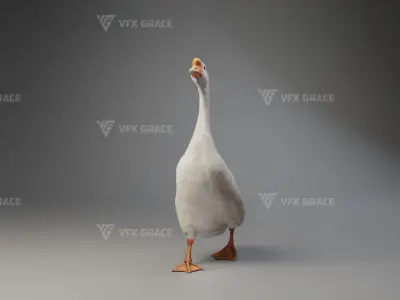 Big White Goose Male Animation - VFX Grace 3D model