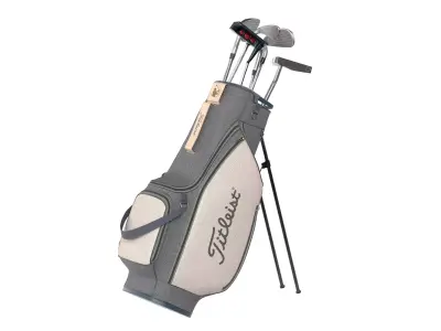 Golf Bag Clubs and Putter  Low-poly 3D model