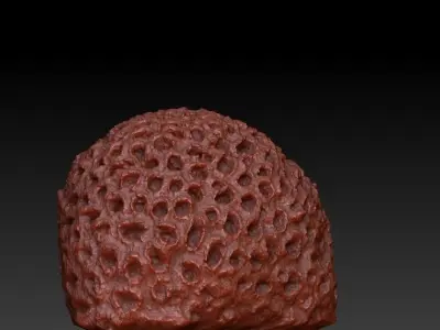 Sea Coral Scan 4 3D model