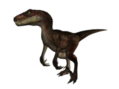 3Dfoin - Raptor Low-poly 3D model