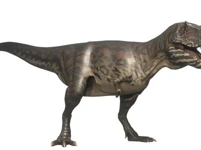 Albertosaurus Asset Pack Low-poly 3D model