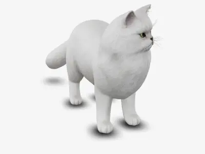 cat Persian 3D model