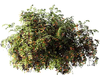 Summer and Burning Shrubbery Bush 3D Model 3D model